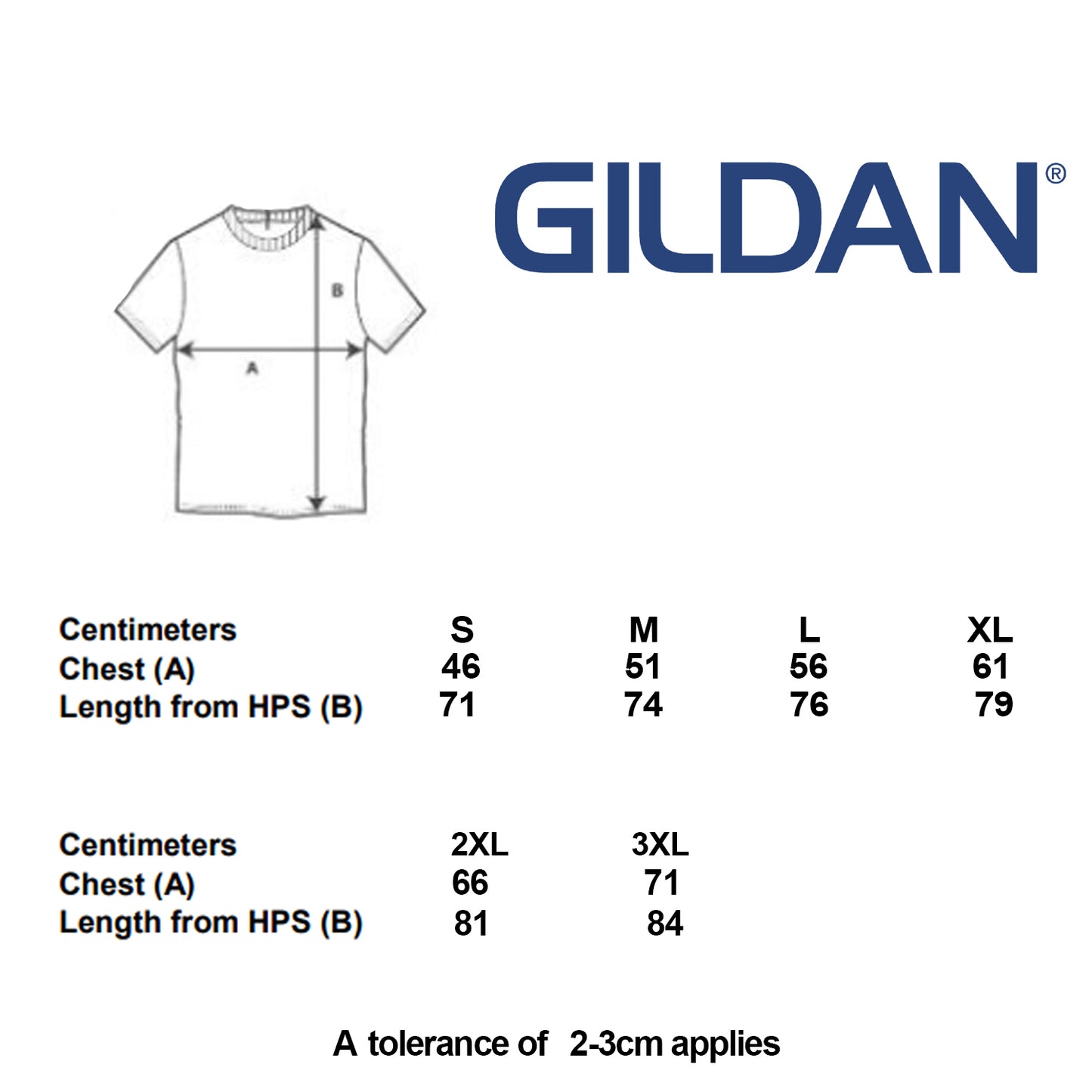 Team Goose HooperFest 22 Tee