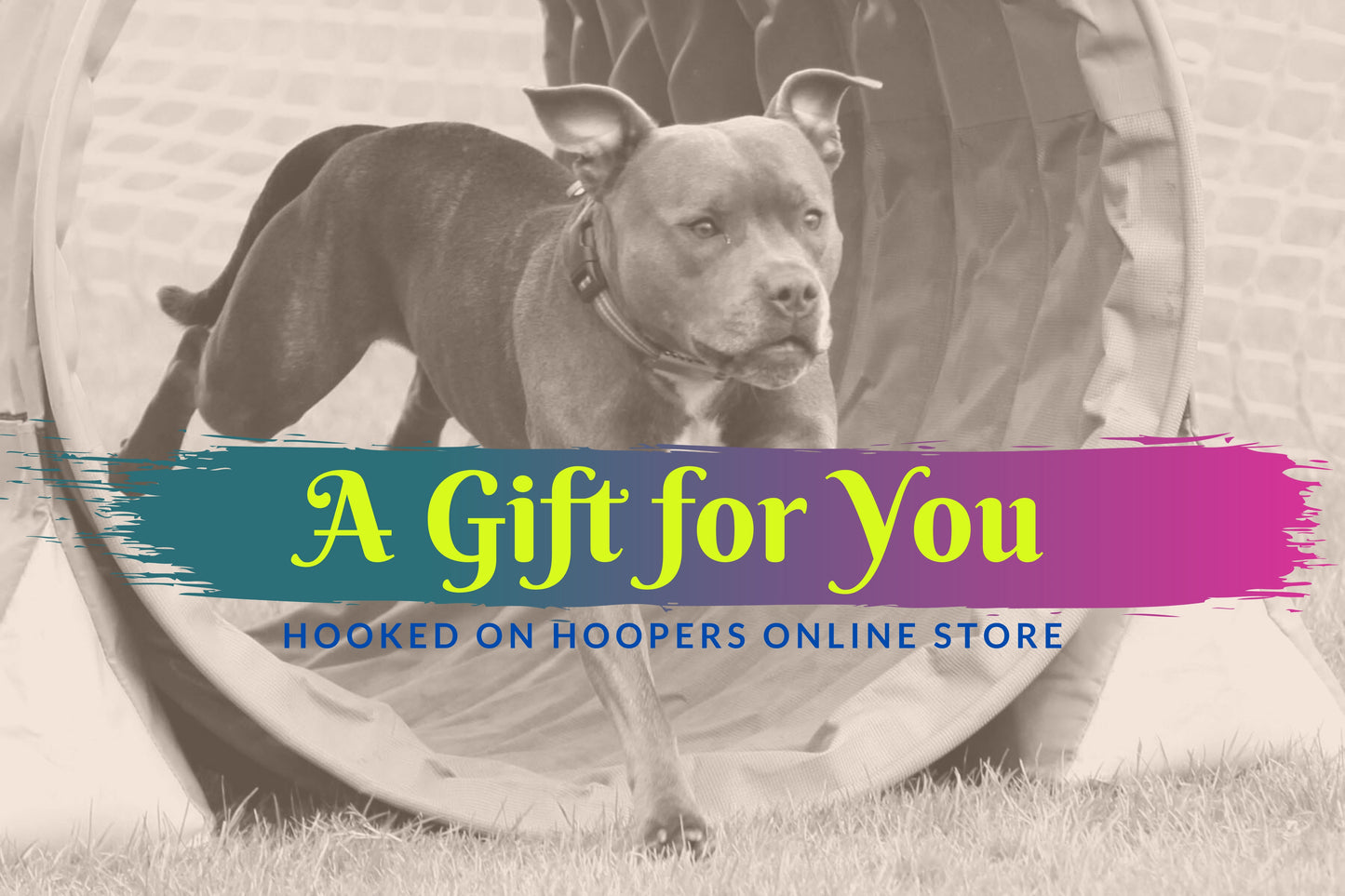 Web Store Gift Card