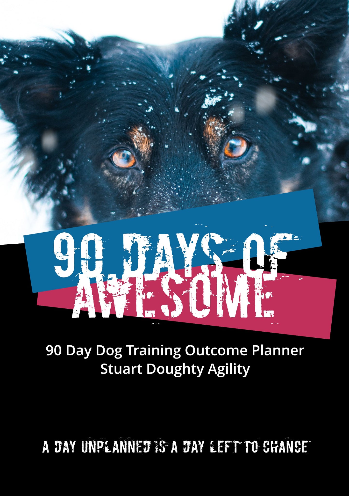 90 Days of Awesome Planner