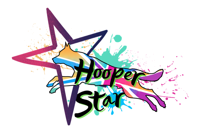 HooperStar Level 6 Award