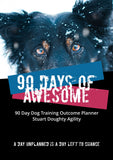 90 Days of Awesome Planner