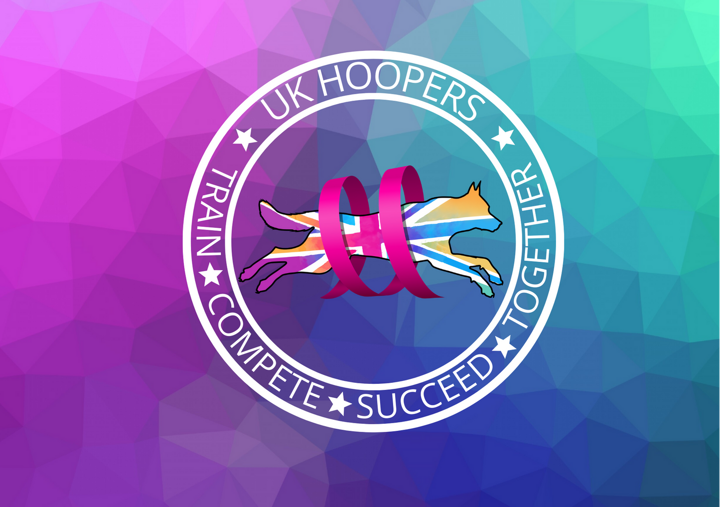 HooperStar Level 2 Award